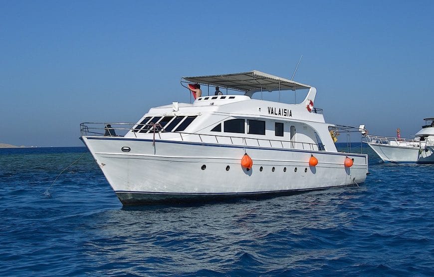 Journée snorkeling  en bateau privée