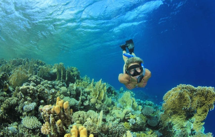 Plongee en bateau a *Marsa Alam*