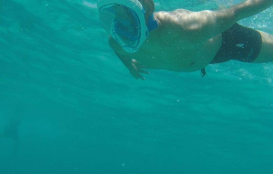 JOURNEE DAUPHINS EN MER *HAMATA*