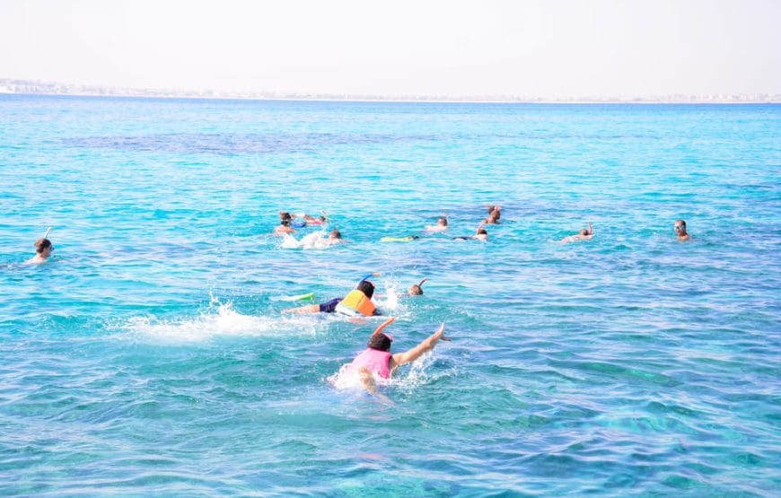 JOURNEE DAUPHINS EN MER *HAMATA*