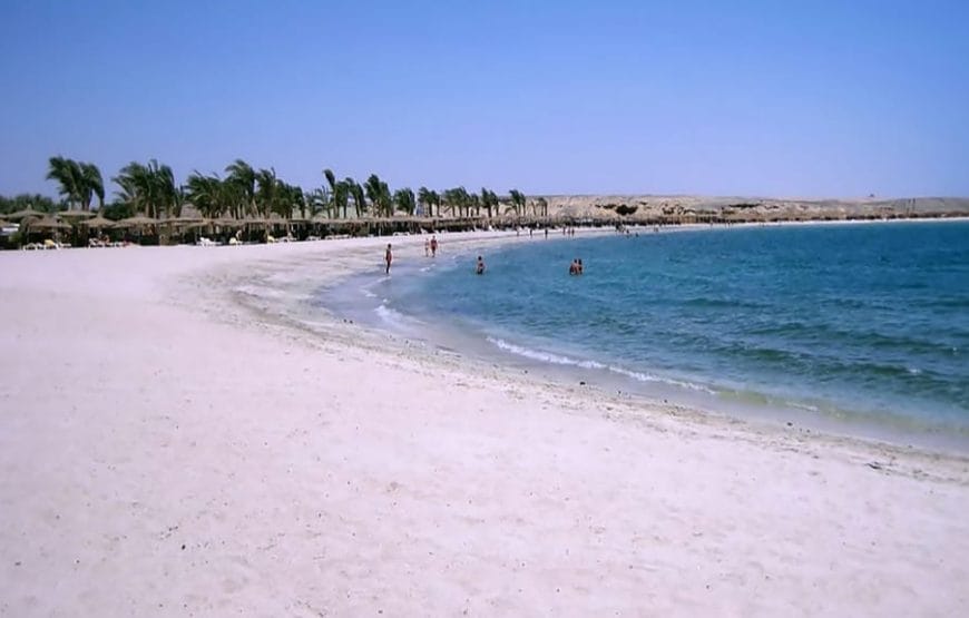 JOURNEE  Abu Dabbab  A PARTIR DE *MARSA ALAAM*