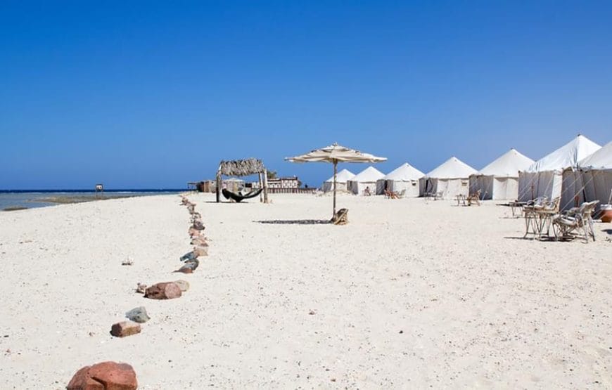 JOURNEE  Abu Dabbab  A PARTIR DE *MARSA ALAAM*