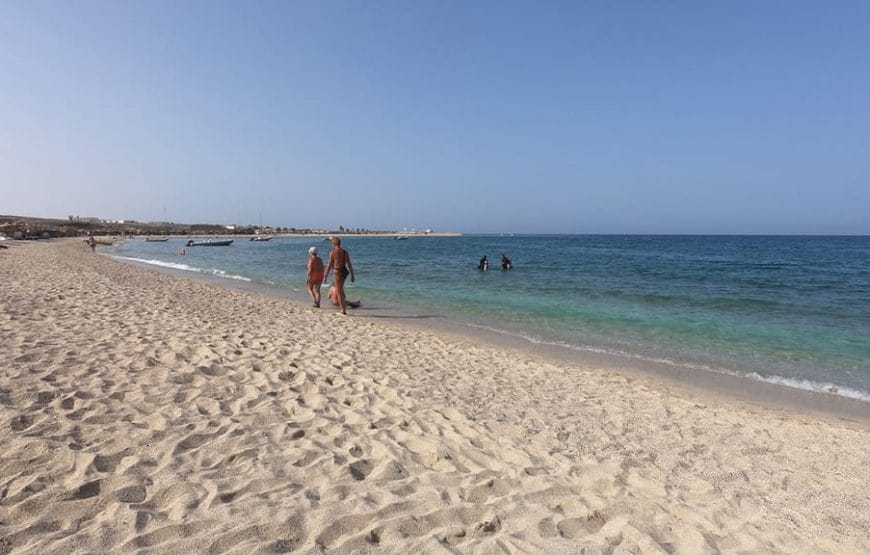 JOURNEE  Abu Dabbab  A PARTIR DE *MARSA ALAAM*