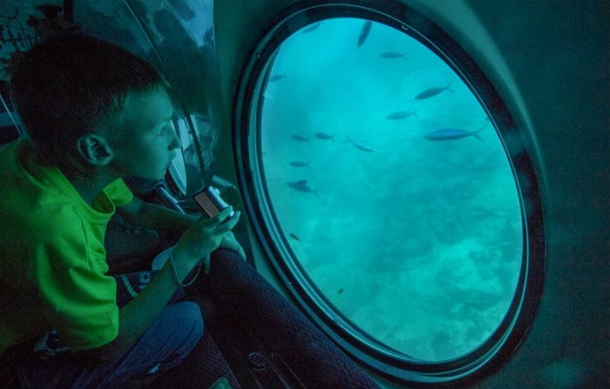 SORTIE Sous-marin Sindbad