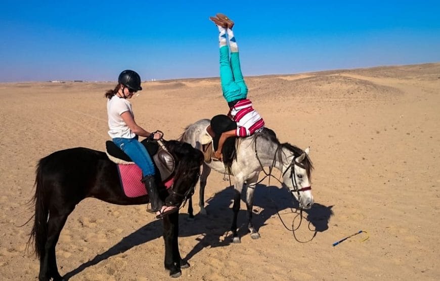 CHEVAL!!! BALADE+DINNER+SHOW