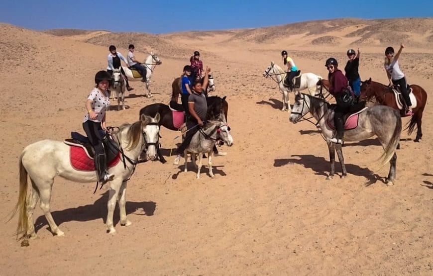 CHEVAL!!! BALADE+DINNER+SHOW