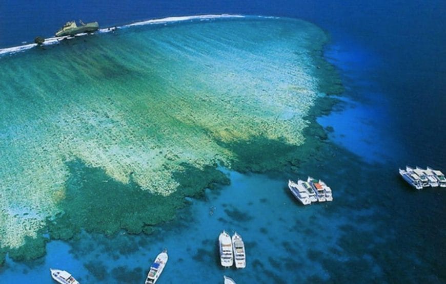 SNORKELLING Au  baie de *Sharm el Naga*