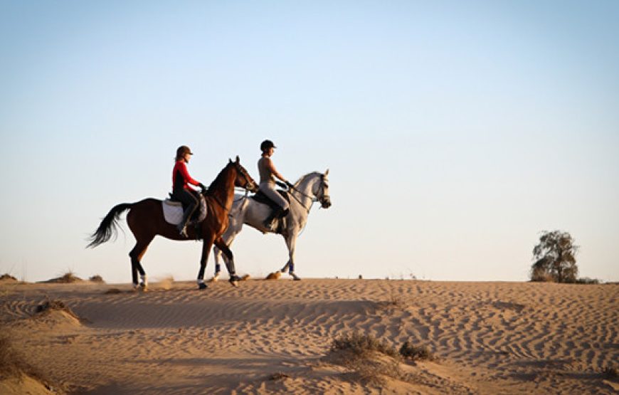 CHEVAL!!! BALADE+DINNER+SHOW