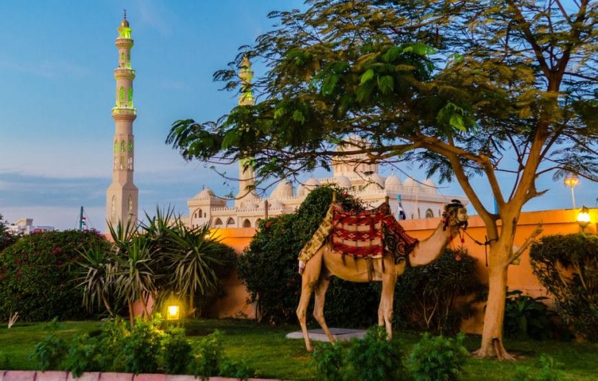 Visite de la ville d&rsquo;Hurghada