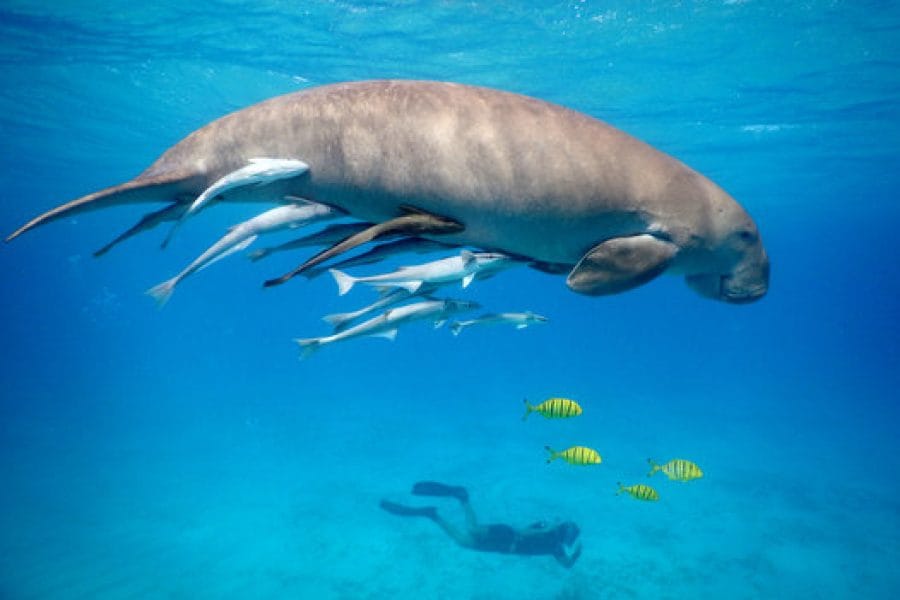 360 F 103618081 8TyfJNO4t2TZcelBSL7q83NQxnotwL1v