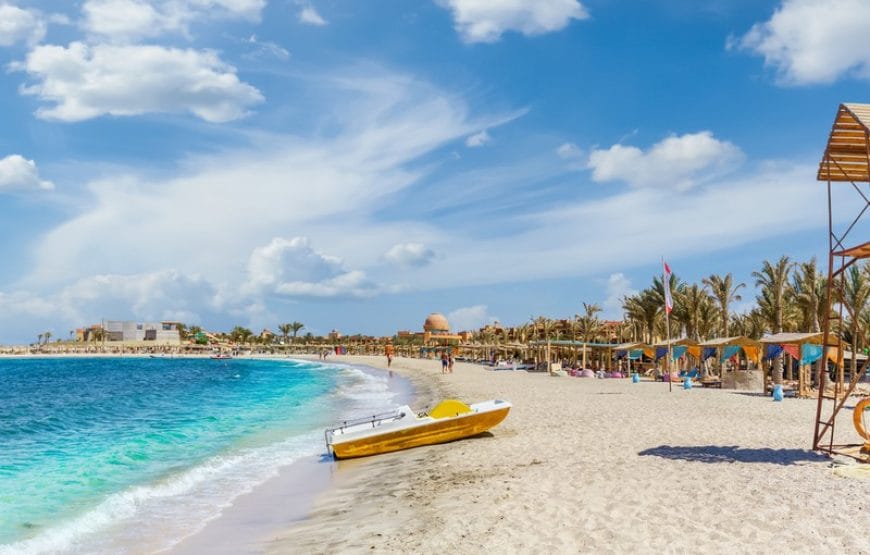 TORTUES!!! *Abu Dabbab*