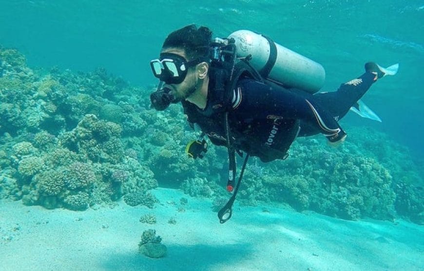 Plongée SOUS MARINE