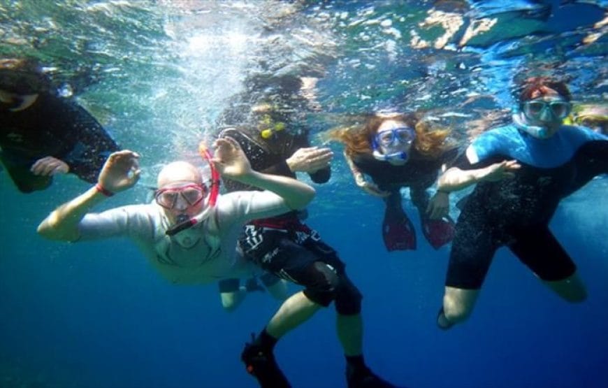 SNORKELLING Au  baie de *Sharm el Naga*