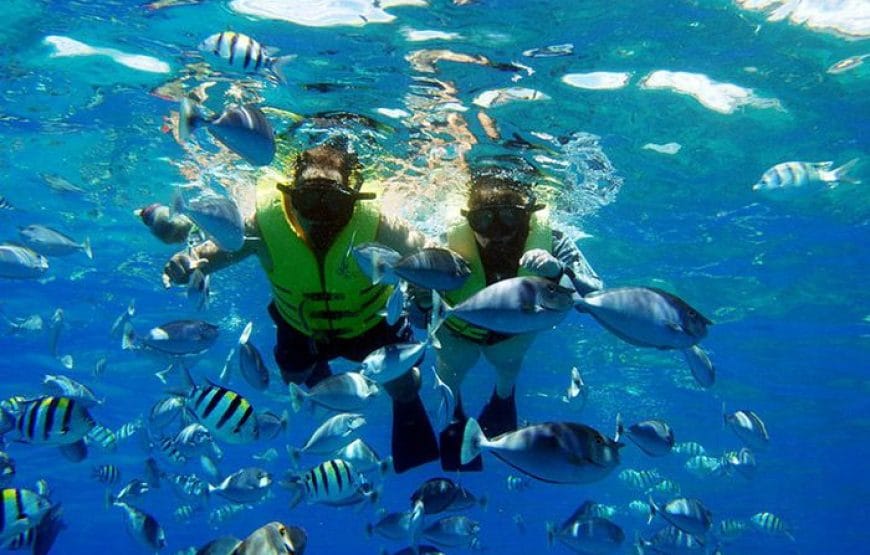 SNORKELLING Au  baie de *Sharm el Naga*