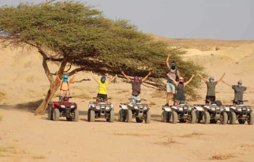 safari depuis *Marsa Alam*