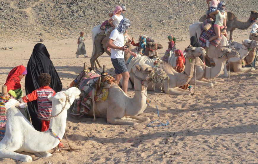 SAFARI 3 HEURES  HURGHADA