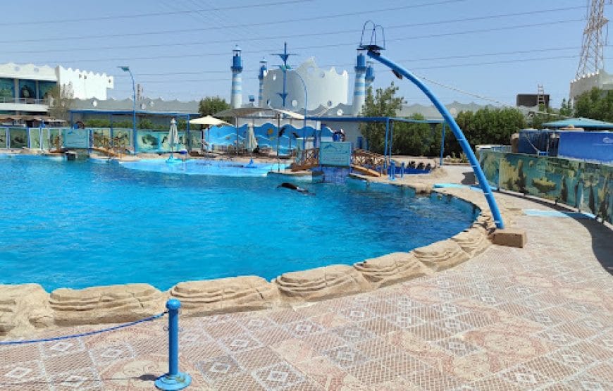 Spectacle des dauphins