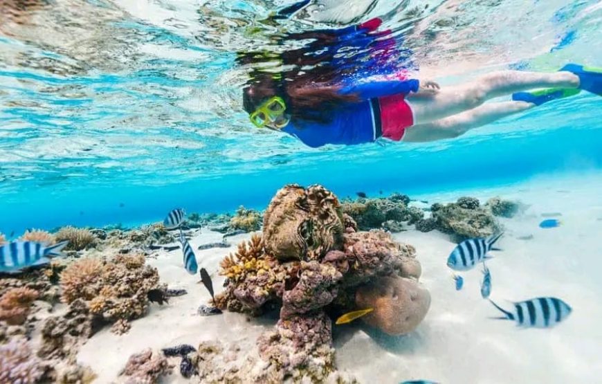 Journée détente à Orange Bay – Île paradisiaque et snorkeling
