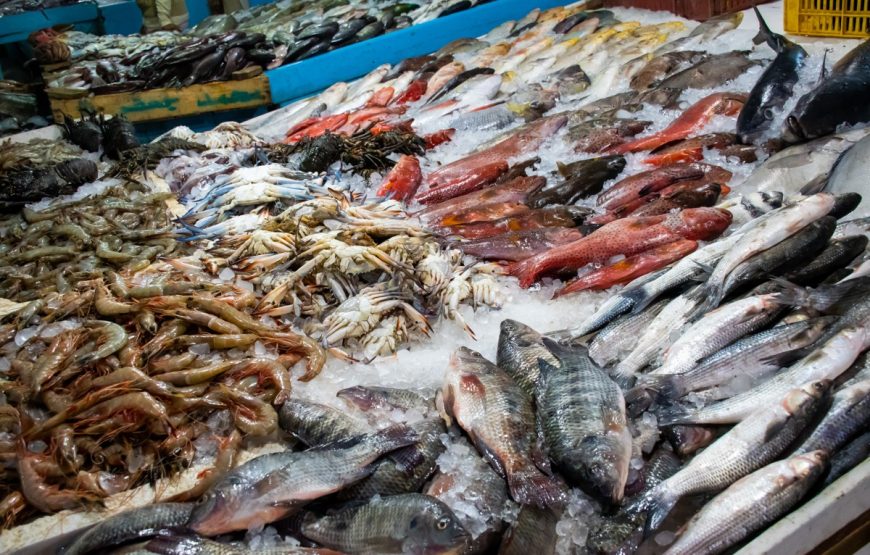 Visite de la ville d&rsquo;Hurghada