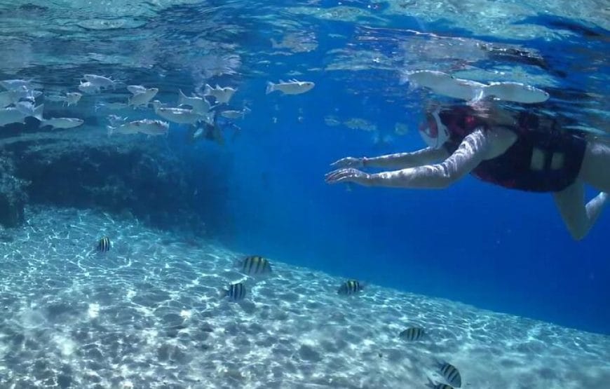 SNORKELLING Au  baie de *Sharm el Naga*