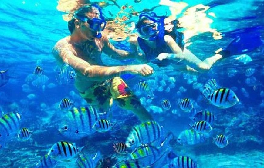 SNORKELLING Au  baie de *Sharm el Naga*