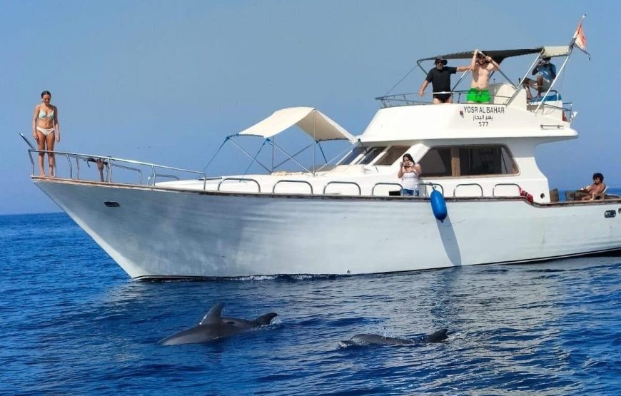 Journée snorkeling  en bateau privée