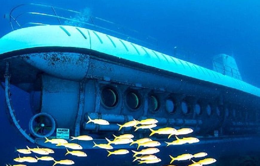 SORTIE Sous-marin Sindbad