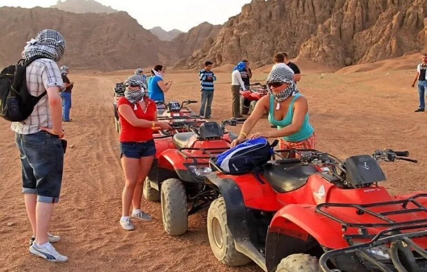 safari depuis *Marsa Alam*