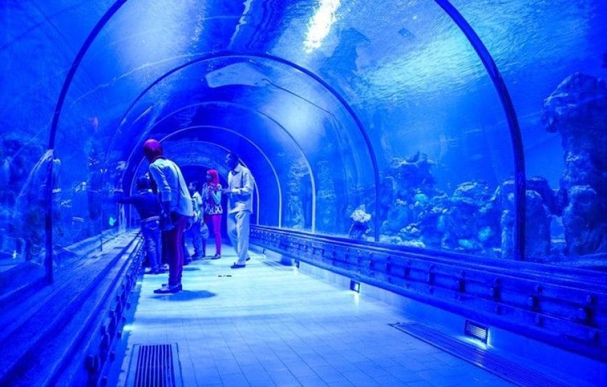 Aquarium!! HURGHADA