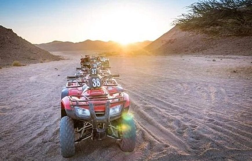 Safari de 3 heures  EN QUAD  désert à *Marsa Alam*