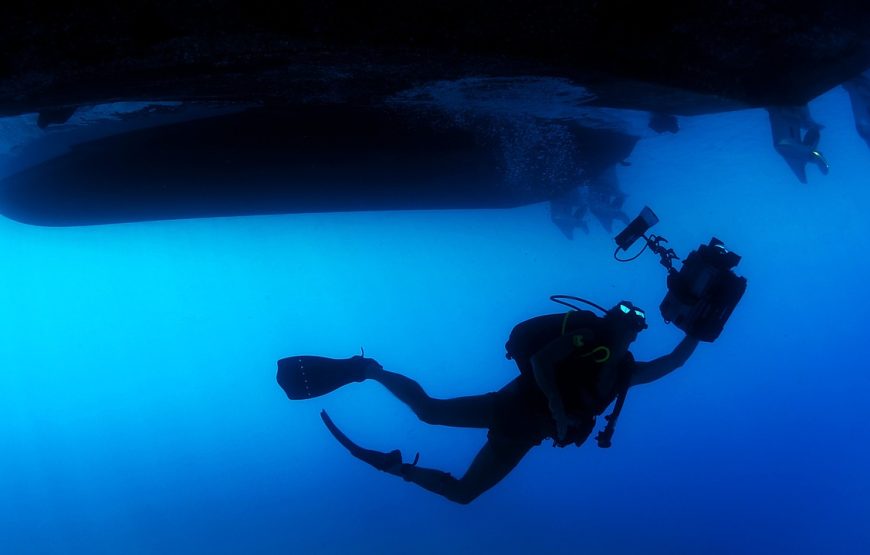 Plongée SOUS MARINE