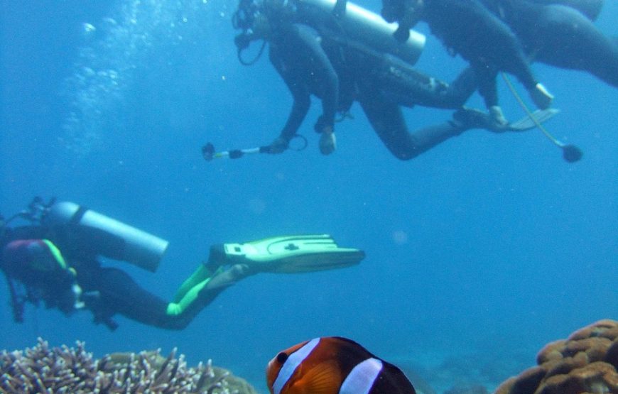 Plongée SOUS MARINE