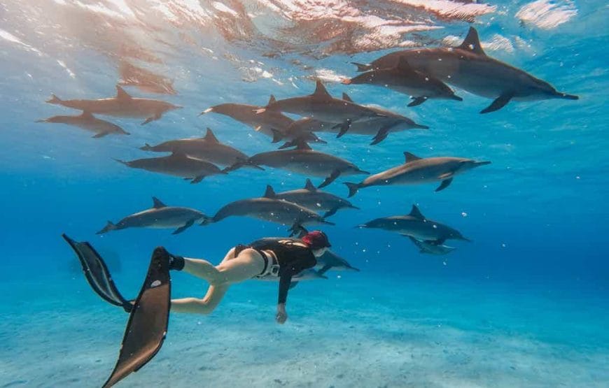 Plongée depuis la plage de *Marsa Alam*