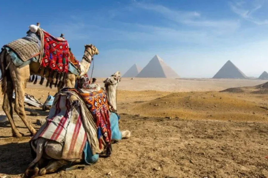 le caire excursion en voiture privee 3 768x432 1