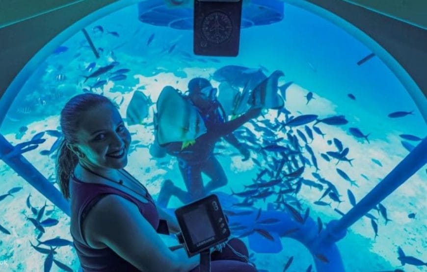 SORTIE Sous-marin Sindbad