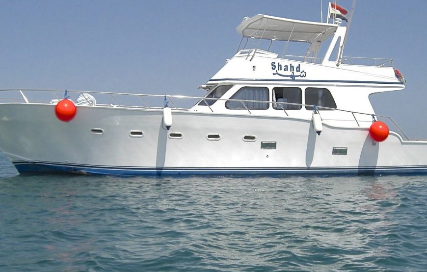 Journée snorkeling  en bateau privée