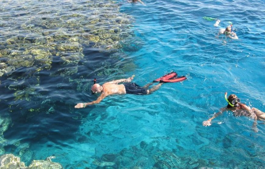 JOURNEE DAUPHINS EN MER *HAMATA*