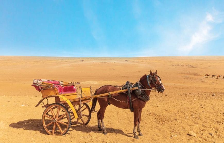 CALECHE;BALADE+DINER+SHOW!!!