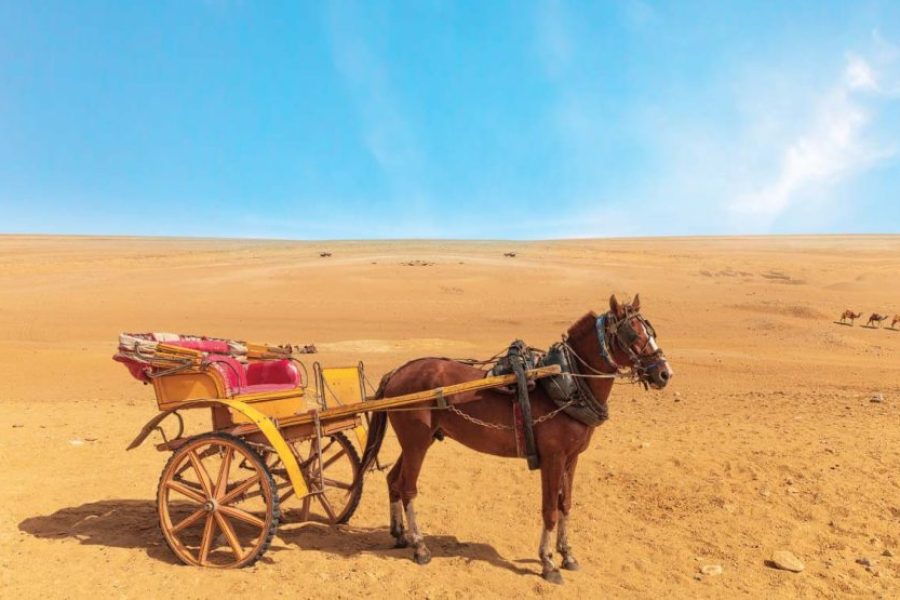 Balade a caleche Hurghada Dream 1 870x555 1