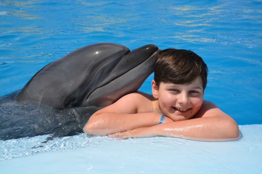 WhatsApp Image 2025 02 23 at 12.26.14 cb4b47e2