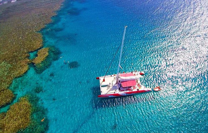 OCEAN DIVA*CATAMARAN* Sailing Tours (DOLPHIN HOUSE).