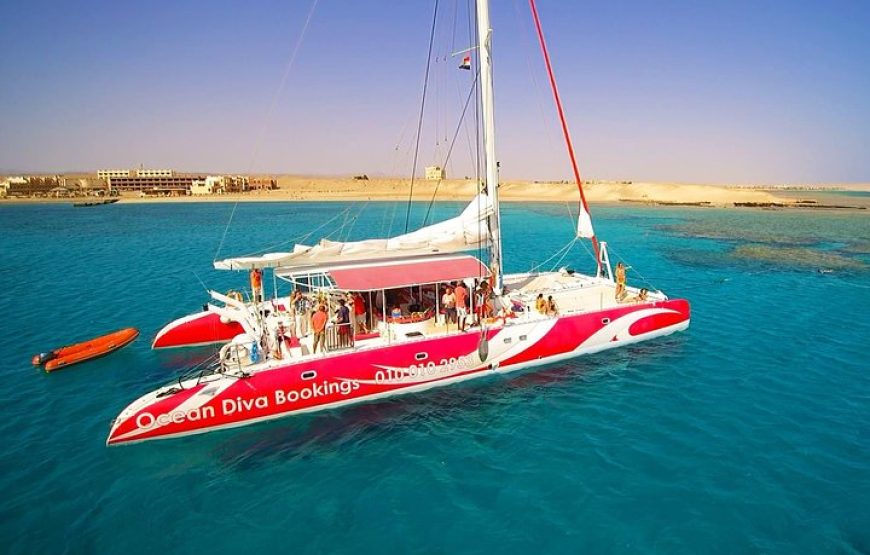 OCEAN DIVA*CATAMARAN* Sailing Tours (DOLPHIN HOUSE).