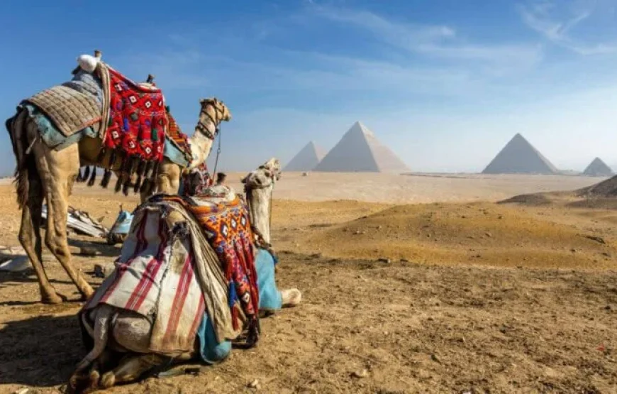 LE CAIRE; FORMULE BUS!!!