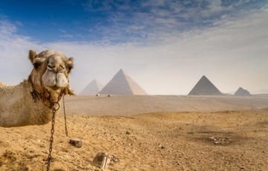 Le caire en Privee ~~ Formule Minivan!!! A PARTIR DE MARSA ALAM~~