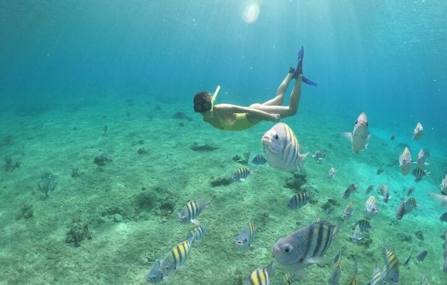 Journée entiere à *Paradise Island*