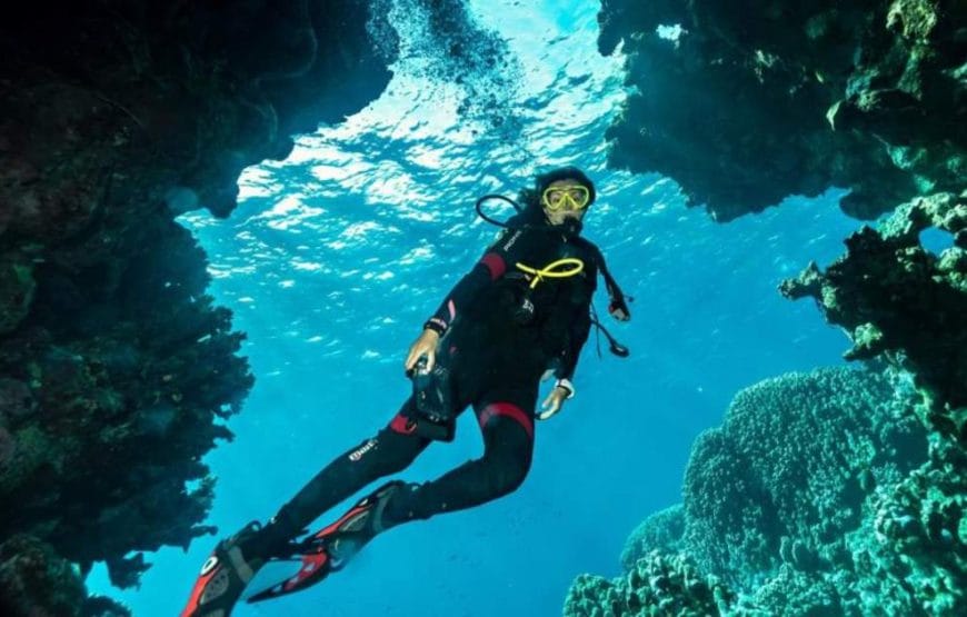 Plongée SOUS MARINE