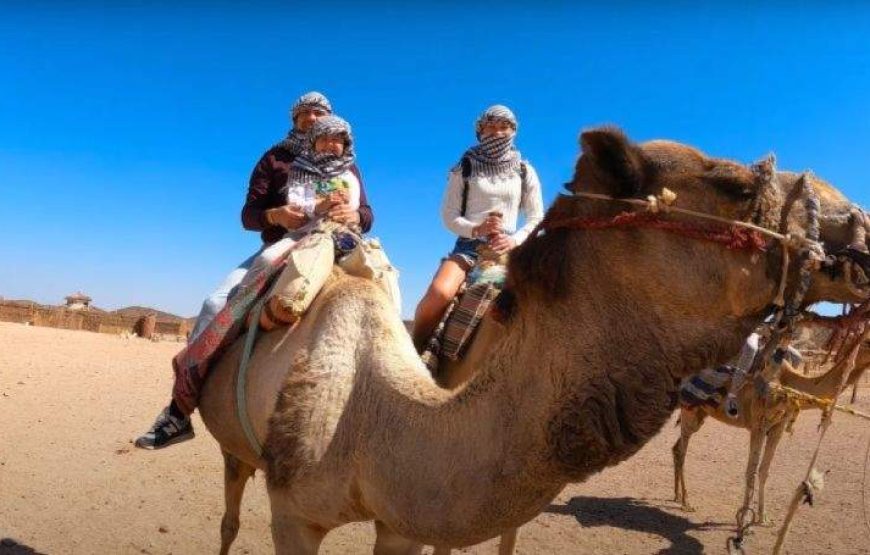 SAFARI 3 HEURES  HURGHADA