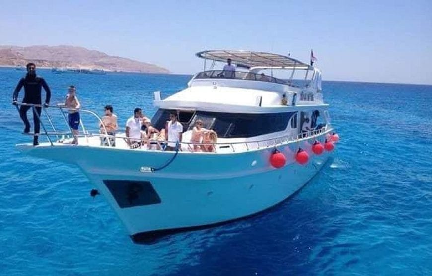 A LA RECHERCHE DES DAUPHINS!!!!