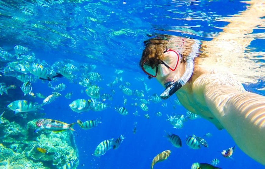 Snorkeling à l’île Hula Hula