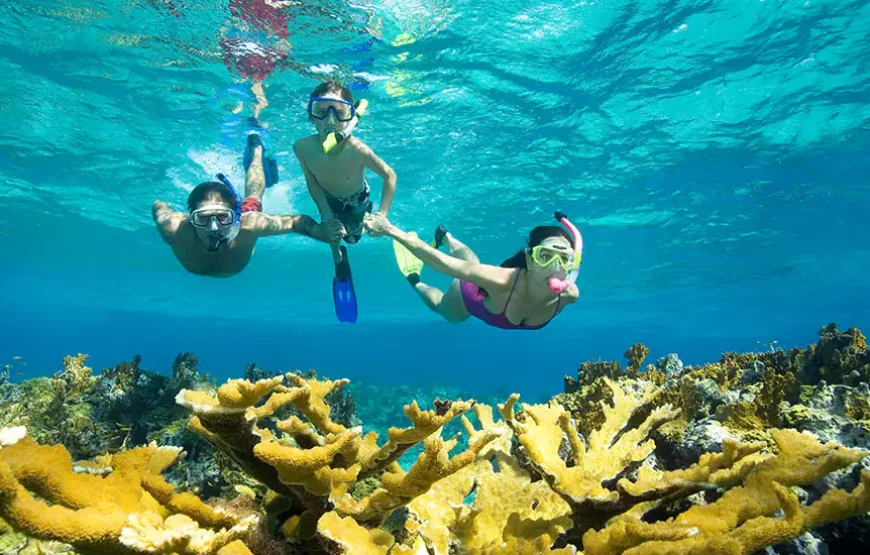 Journée détente à Orange Bay – Île paradisiaque et snorkeling